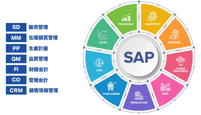 ERP｜module